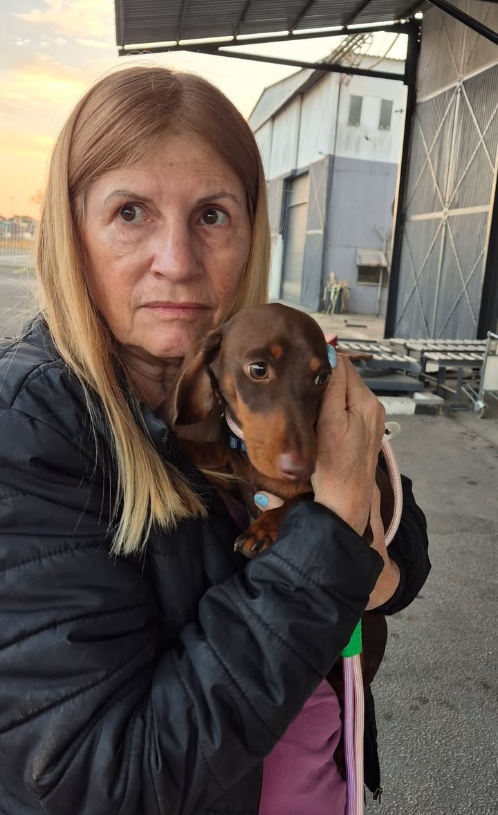 Zimpets Transport